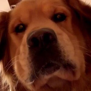 Meet your Posher, Ben